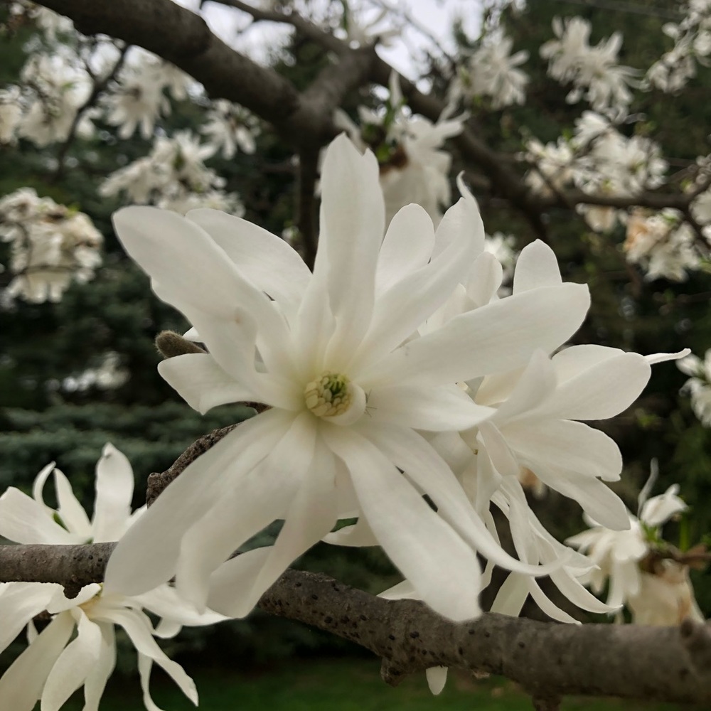 Meet your Posher, Stacey